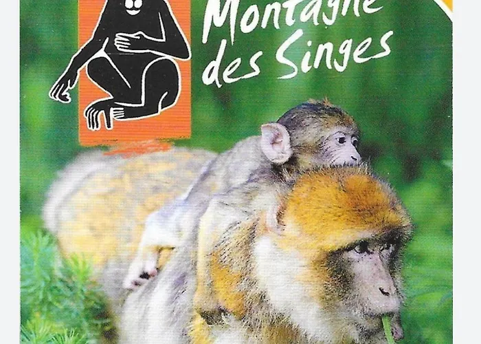 شقة France Ebersheim